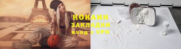 дживик Алзамай