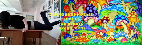 дживик Алзамай