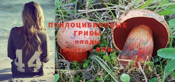 крисы Киров