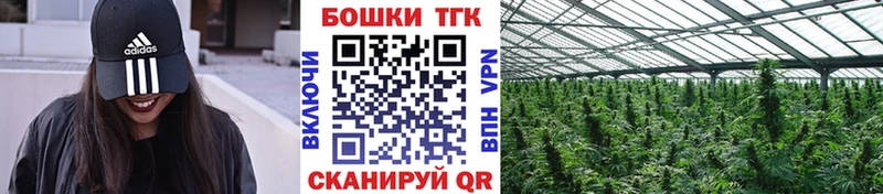 МЕГА онион  Владивосток  Бошки марихуана Amnesia 